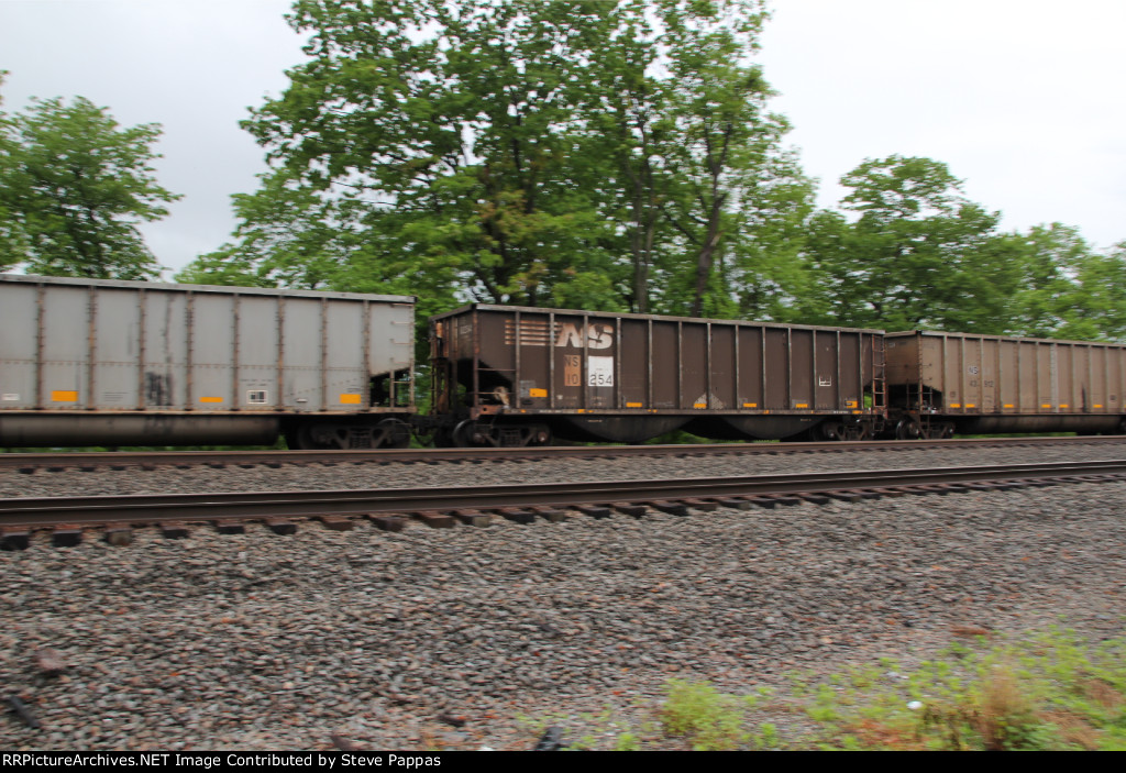 NS 10254